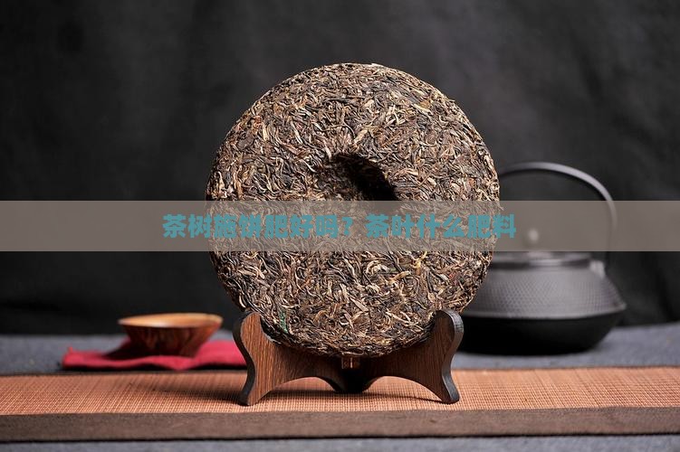 茶树施饼肥好吗