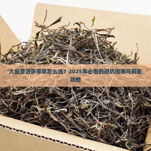 大益普洱茶等级编号