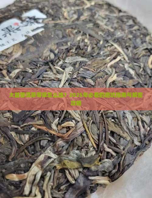 大益普洱茶等级编号