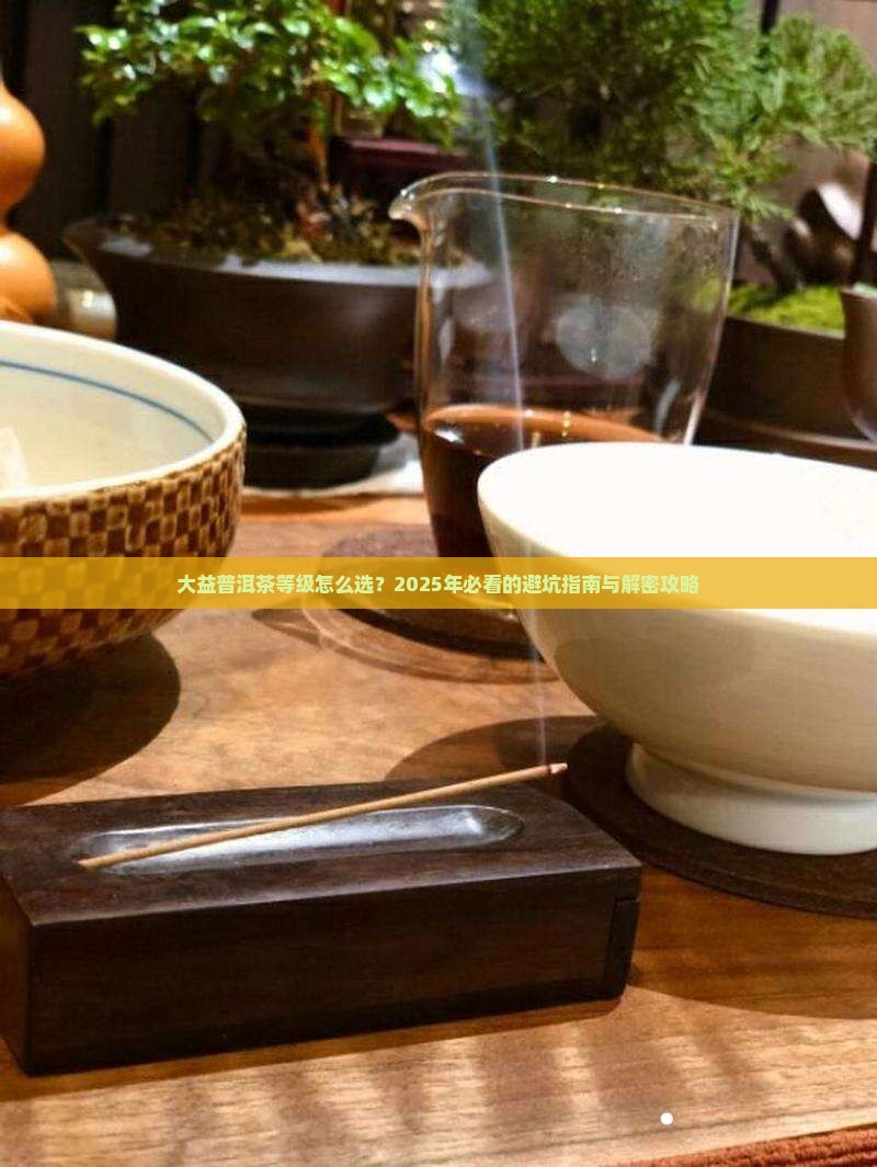 大益普洱茶等级编号