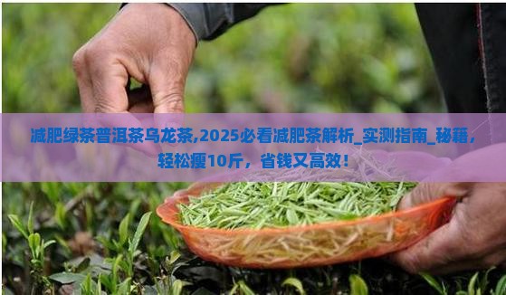 减肥绿茶普洱茶乌龙茶