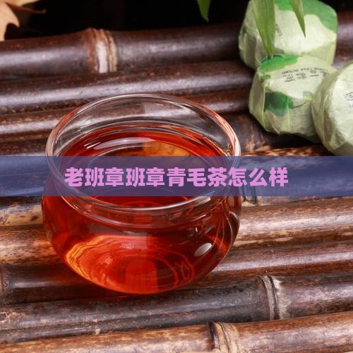 老班章青毛茶怎么样
