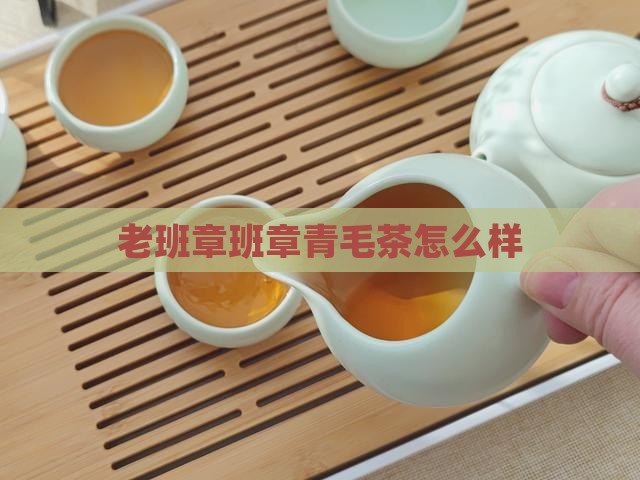 老班章青毛茶怎么样