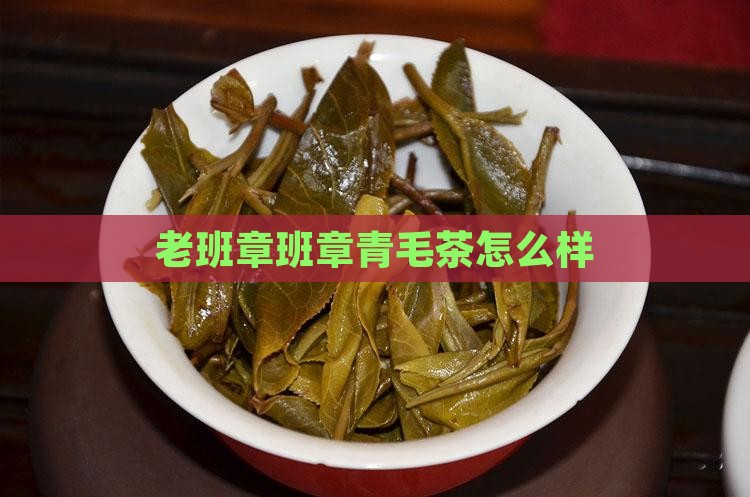 老班章青毛茶怎么样