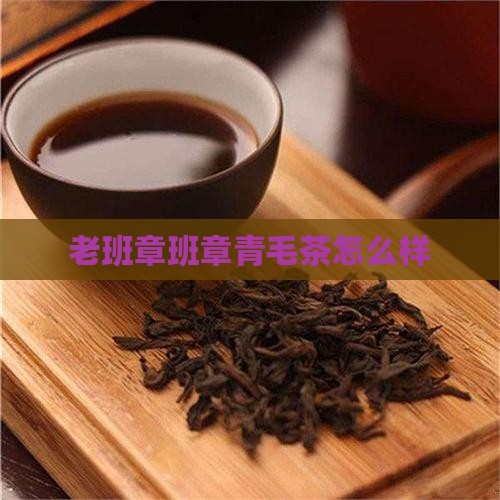 老班章青毛茶怎么样
