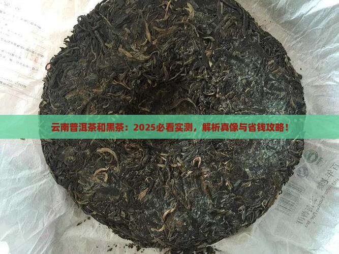 云南普洱茶和黑茶的区别