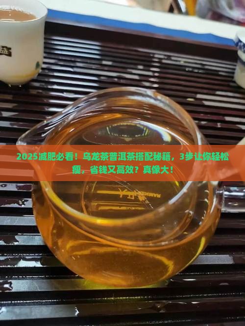 乌龙茶减肥普洱茶 乌龙茶减肥普洱茶
