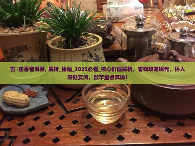 古樹由香普洱茶