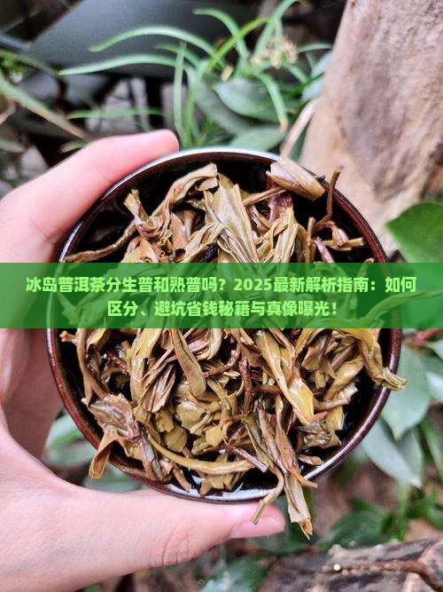 冰岛普洱茶分生普和熟普吗
