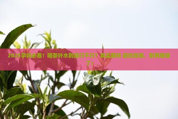 孕妇可以喝茶叶水不
