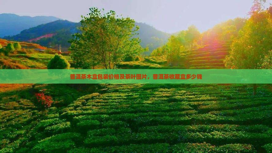 普洱茶收藏木盒子多少钱