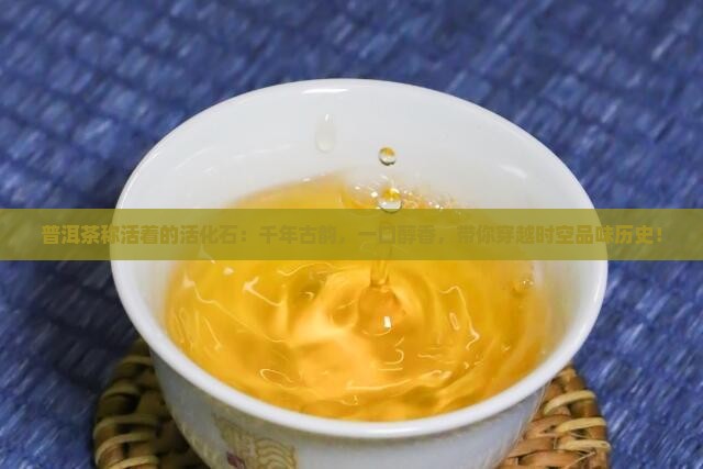 普洱茶称活着的活化石