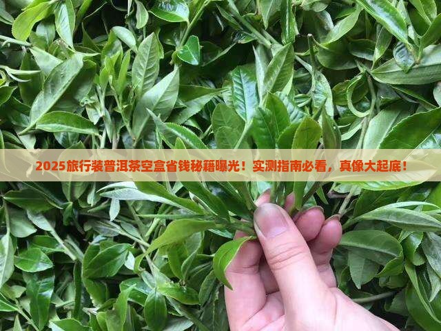 旅行装普洱茶空盒