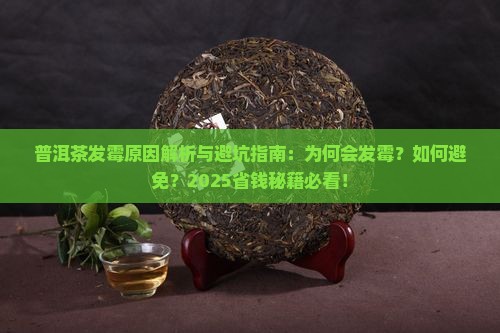 普洱茶怎样会发霉