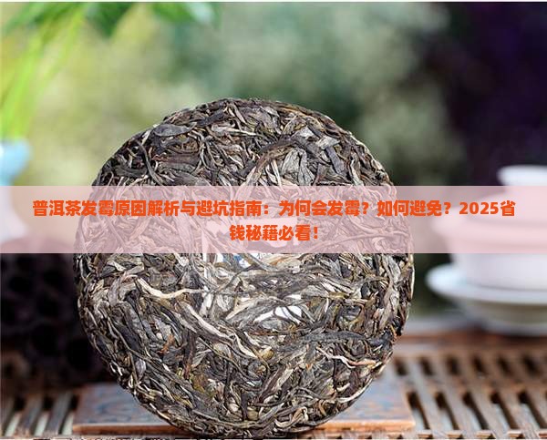 普洱茶怎样会发霉