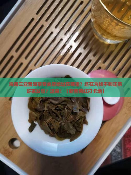 海南三亚普洱茶专卖店地址