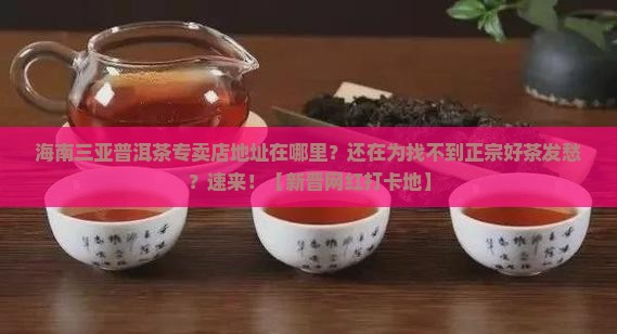 海南三亚普洱茶专卖店地址