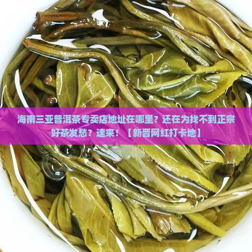 海南三亚普洱茶专卖店地址