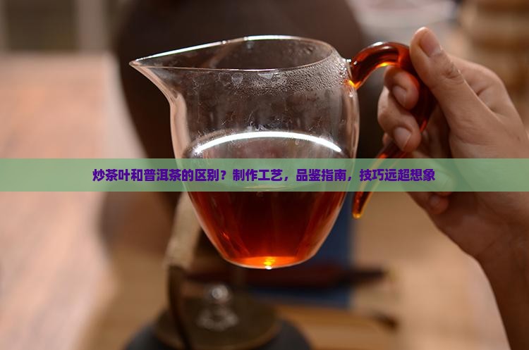 炒茶叶和普洱茶的区别
