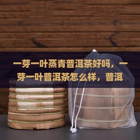 一芽一叶蒸青普洱茶