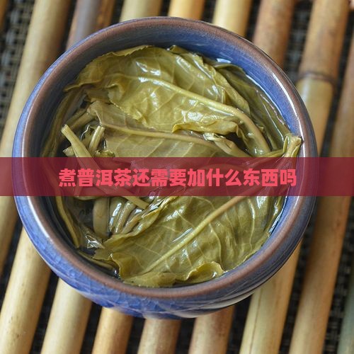 煮普洱茶还需要加什么东西吗