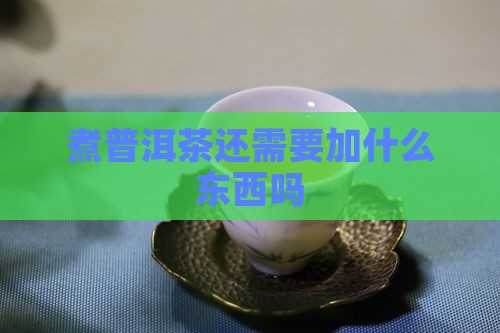 煮普洱茶还需要加什么东西吗