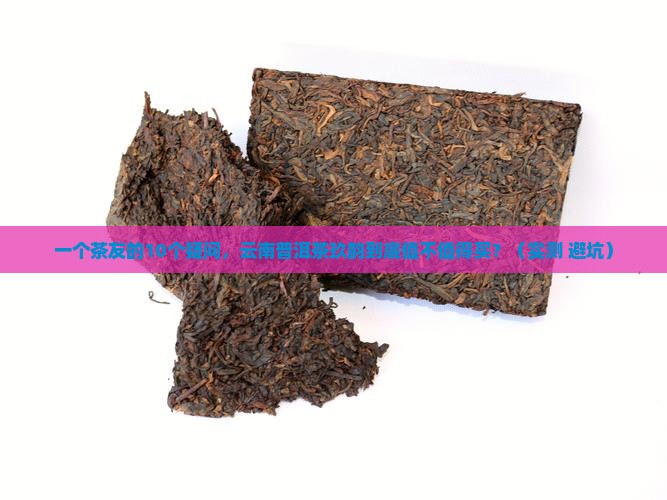 云南普洱茶玖韵