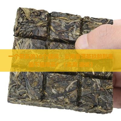 云南普洱茶玖韵