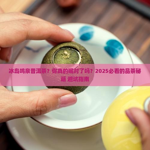 冰岛鸣泉普洱茶