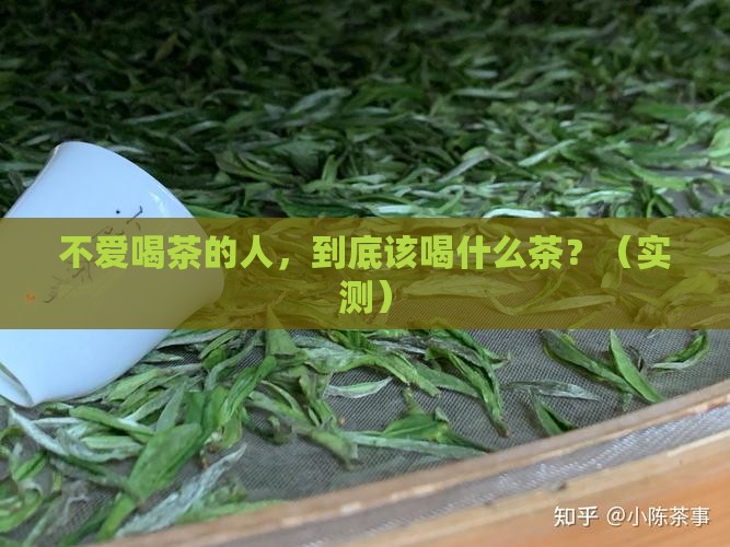 不爱喝茶的人喝什么茶