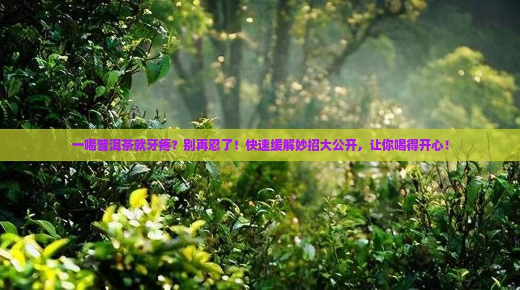 一喝普洱茶就牙疼