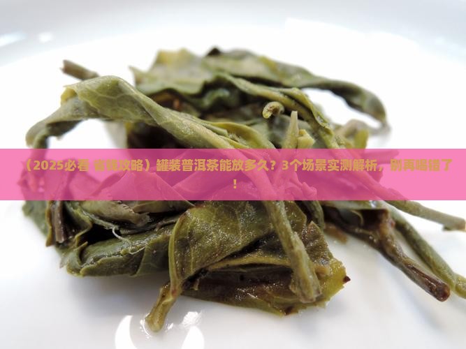 罐装普洱茶能放多久喝了