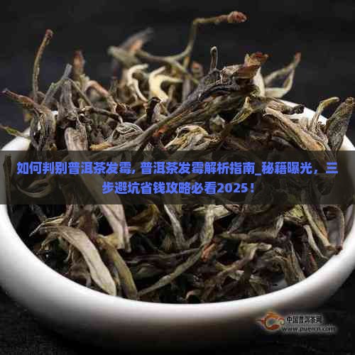 如何判别普洱茶发霉