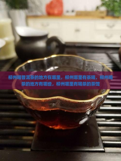 柳州喝普洱茶的地方在哪里