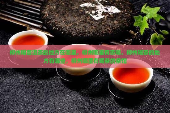 柳州喝普洱茶的地方在哪里