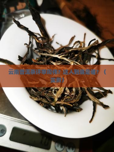 云南普洱茶评审周伟