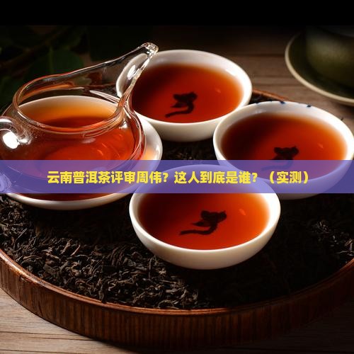 云南普洱茶评审周伟
