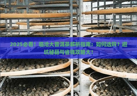 临沧的大品牌普洱茶是