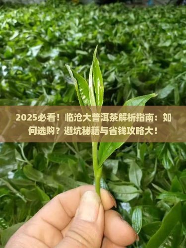 临沧的大品牌普洱茶是