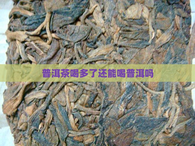 普洱茶喝多了还能喝吗