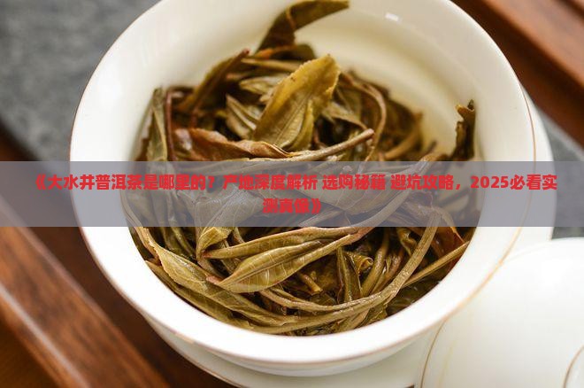 大水井普洱茶是哪里的