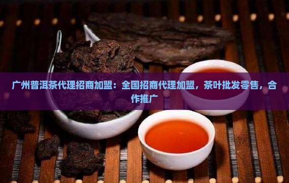 广州普洱茶代理招商加盟