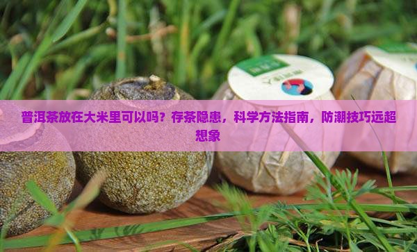 把普洱茶放在大米里可以吗