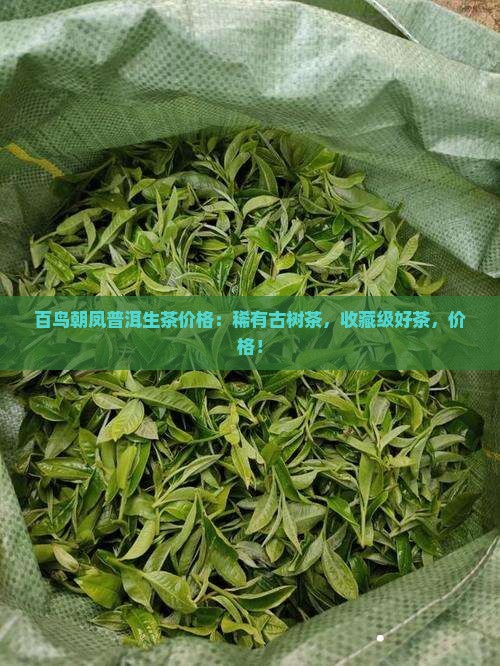 百鸟朝凤普洱生茶价格