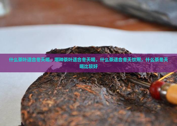 什么茶叶适合冬天喝