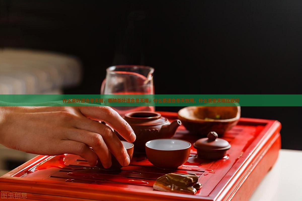 什么茶叶适合冬天喝