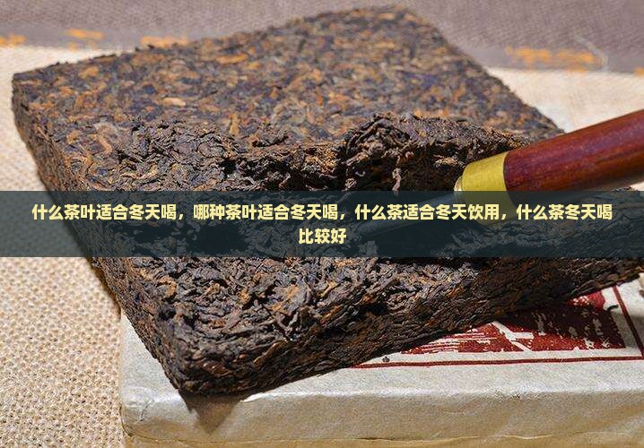 什么茶叶适合冬天喝
