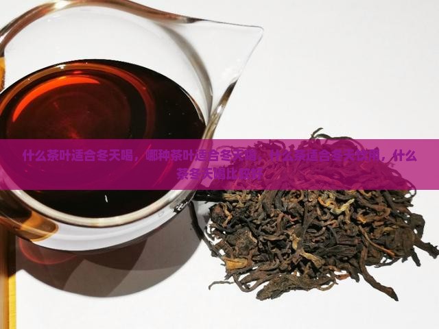什么茶叶适合冬天喝