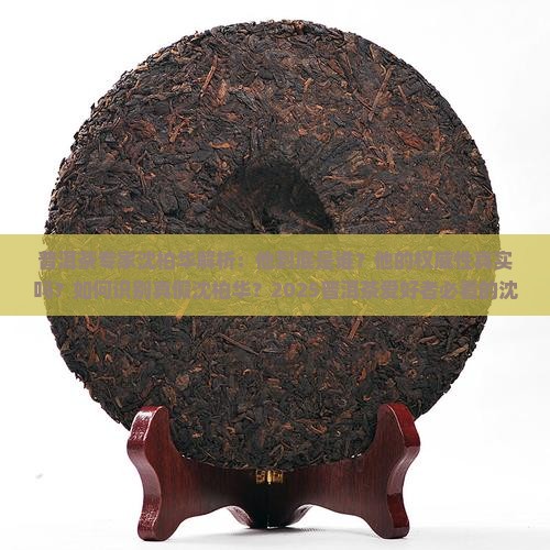 普洱茶专家沈柏华