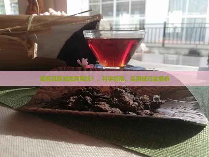 喝普洱茶减肥管用吗
